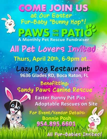 A flyer for the paws on the patio event.